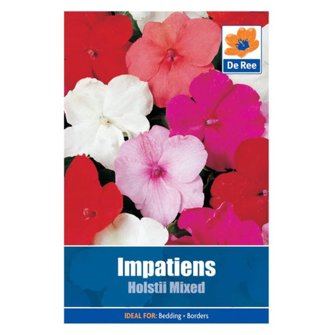 Impatiens Holstii Mixed